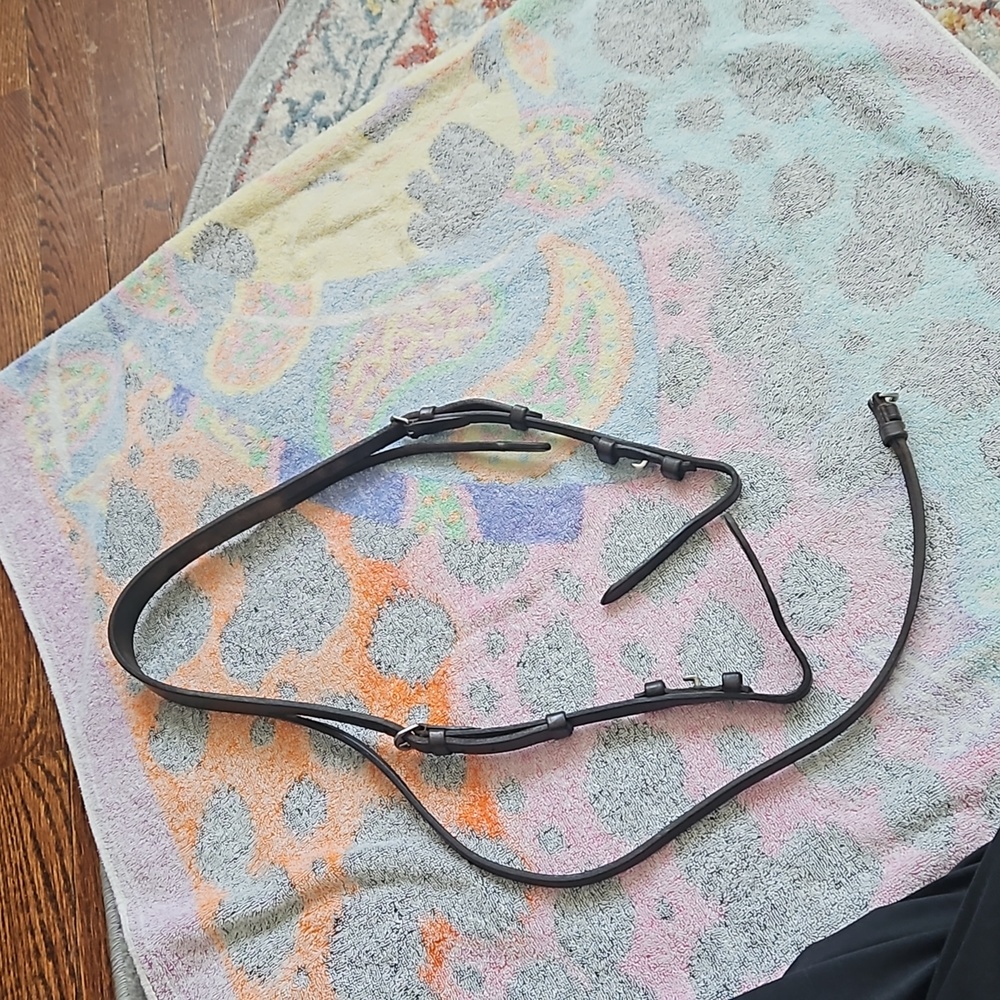 Partial English bridle